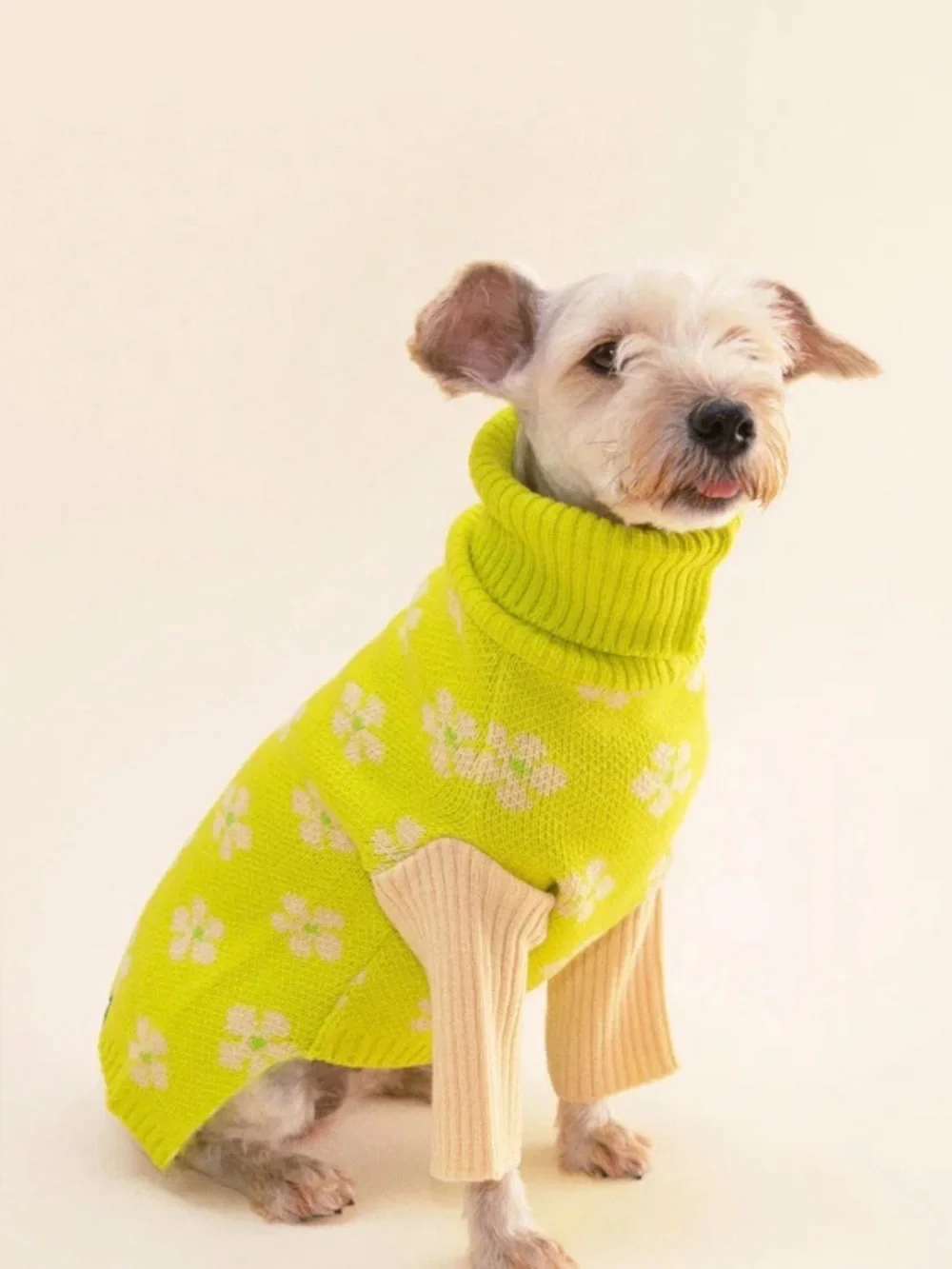 Little Beast Flower Power Dog Knit Sweater XL